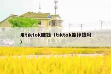 用tiktok赚钱（tiktok能挣钱吗）