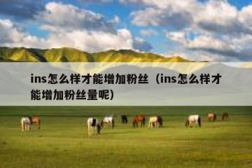 ins怎么样才能增加粉丝（ins怎么样才能增加粉丝量呢）