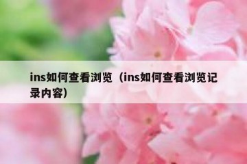 ins如何查看浏览（ins如何查看浏览记录内容）