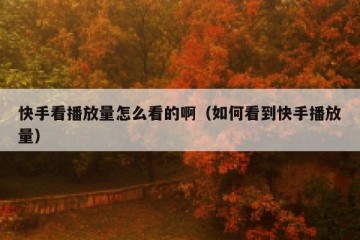 快手看播放量怎么看的啊（如何看到快手播放量）
