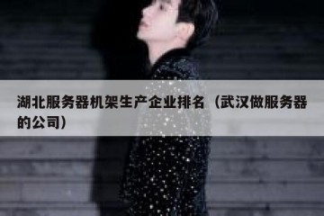 湖北服务器机架生产企业排名（武汉做服务器的公司）