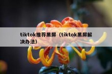tiktok推荐黑屏（tiktok黑屏解决办法）