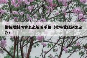 推特限制内容怎么解除手机（推特受限制怎么办）