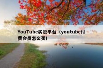 YouTube买赞平台（youtube付费会员怎么买）