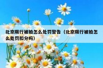北京限行被拍怎么处罚警告（北京限行被拍怎么处罚扣分吗）