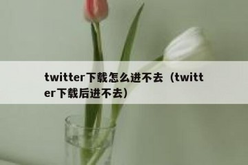 twitter下载怎么进不去（twitter下载后进不去）