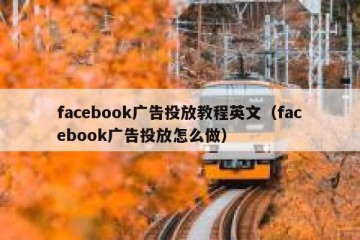 facebook广告投放教程英文（facebook广告投放怎么做）