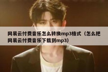 网易云付费音乐怎么转换mp3格式（怎么把网易云付费音乐下载到mp3）