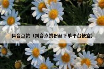 抖音点赞（抖音点赞粉丝下单平台便宜）