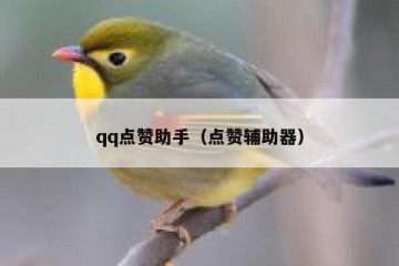 qq点赞助手（点赞辅助器）