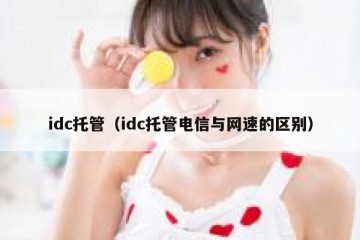 idc托管（idc托管电信与网速的区别）