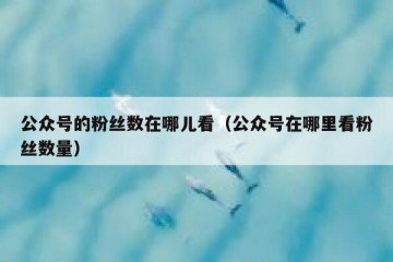 公众号的粉丝数在哪儿看（公众号在哪里看粉丝数量）