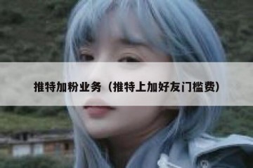 推特加粉业务（推特上加好友门槛费）
