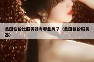 美国性价比服务器有哪些牌子（美国低价服务器）