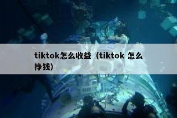 tiktok怎么收益（tiktok 怎么挣钱）