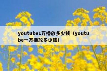 youtube1万播放多少钱（youtube一万播放多少钱）