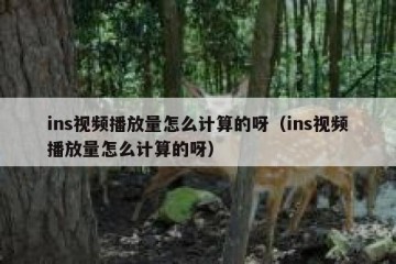 ins视频播放量怎么计算的呀（ins视频播放量怎么计算的呀）