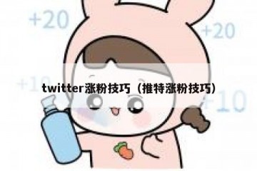 twitter涨粉技巧（推特涨粉技巧）