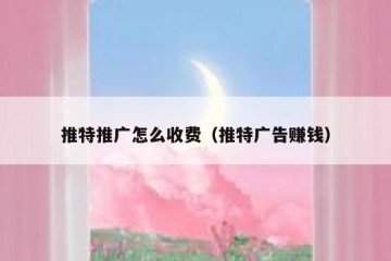 推特推广怎么收费（推特广告赚钱）