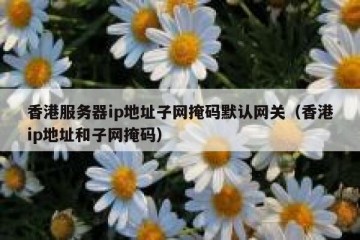 香港服务器ip地址子网掩码默认网关（香港ip地址和子网掩码）