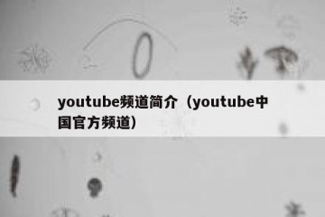youtube频道简介（youtube中国官方频道）
