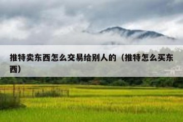 推特卖东西怎么交易给别人的（推特怎么买东西）