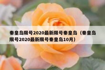 秦皇岛限号2020最新限号秦皇岛（秦皇岛限号2020最新限号秦皇岛10月）