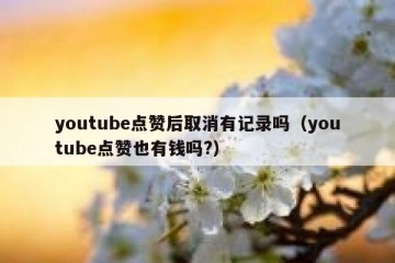 youtube点赞后取消有记录吗（youtube点赞也有钱吗?）