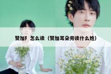 赞加阝怎么读（赞加耳朵旁读什么姓）