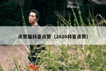 点赞猫抖音点赞（2020抖音点赞）