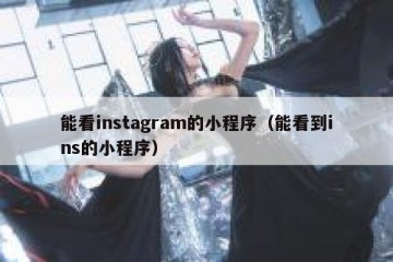 能看instagram的小程序（能看到ins的小程序）