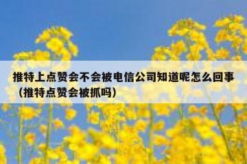 推特上点赞会不会被电信公司知道呢怎么回事（推特点赞会被抓吗）
