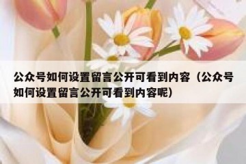 公众号如何设置留言公开可看到内容（公众号如何设置留言公开可看到内容呢）