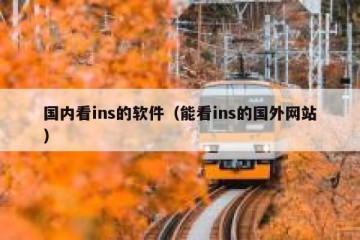 国内看ins的软件（能看ins的国外网站）