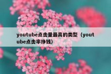 youtube点击量最高的类型（youtube点击率挣钱）