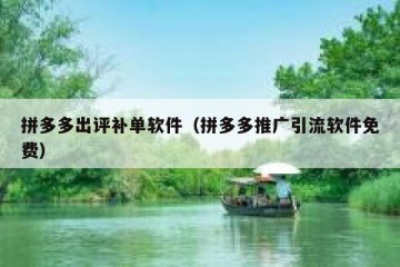 拼多多出评补单软件（拼多多推广引流软件免费）