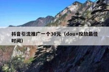 抖音引流推广一个30元（dou+投放最佳时间）