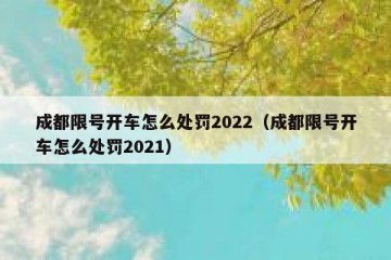 成都限号开车怎么处罚2022（成都限号开车怎么处罚2021）