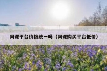 网课平台价格统一吗（网课购买平台低价）