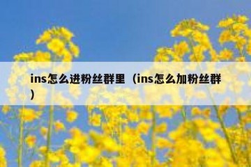 ins怎么进粉丝群里（ins怎么加粉丝群）