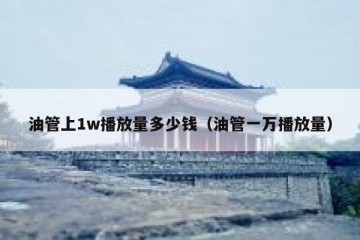 油管上1w播放量多少钱（油管一万播放量）