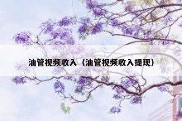 油管视频收入（油管视频收入提现）