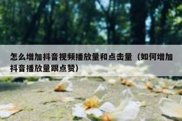 怎么增加抖音视频播放量和点击量（如何增加抖音播放量跟点赞）