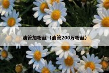 油管加粉丝（油管200万粉丝）