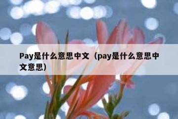Pay是什么意思中文（pay是什么意思中文意思）