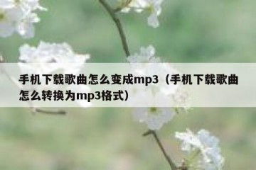 手机下载歌曲怎么变成mp3（手机下载歌曲怎么转换为mp3格式）