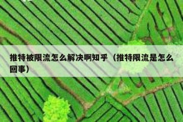 推特被限流怎么解决啊知乎（推特限流是怎么回事）