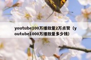 youtube100万播放量2万点赞（youtube1000万播放量多少钱）
