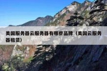 美国服务器云服务器有哪些品牌（美国云服务器租赁）