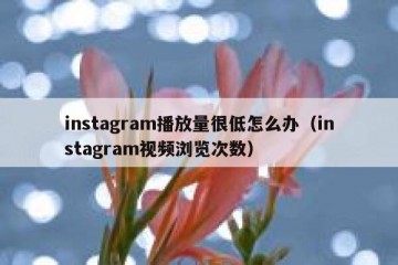 instagram播放量很低怎么办（instagram视频浏览次数）